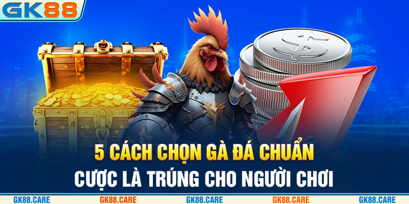 cách chọn gà đá