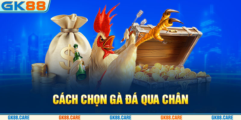 Cách chọn gà đá qua chân