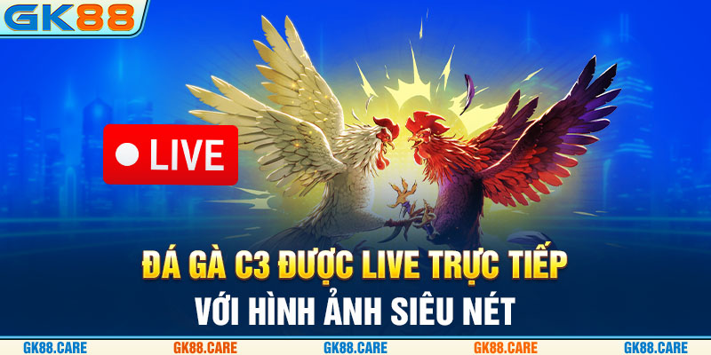 Đá gà C3 được live trực tiếp với hình ảnh siêu nét