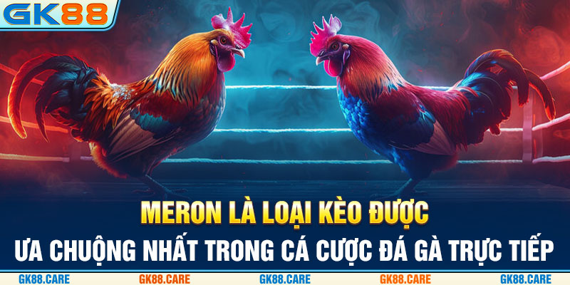 Meron là loại kèo được ưa chuộng nhất trong cá cược đá gà trực tiếp