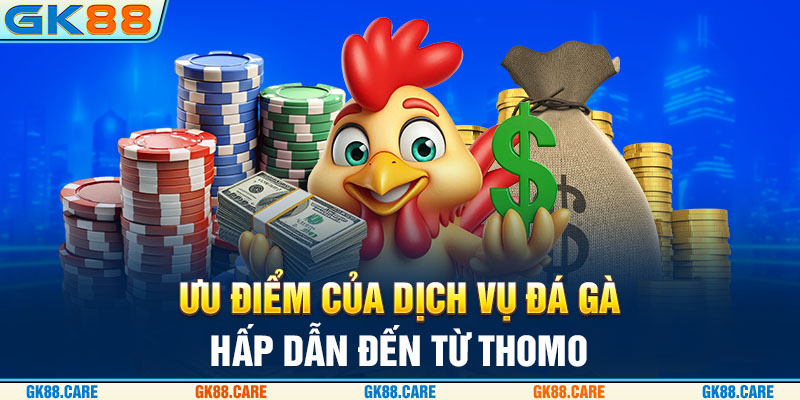 Ưu điểm của dịch vụ đá gà hấp dẫn đến từ Thomo