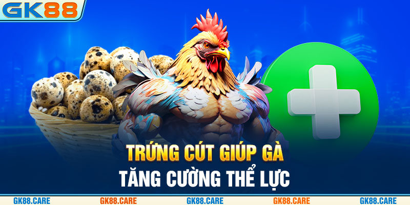 Trứng cút giúp gà tăng cường thể lực